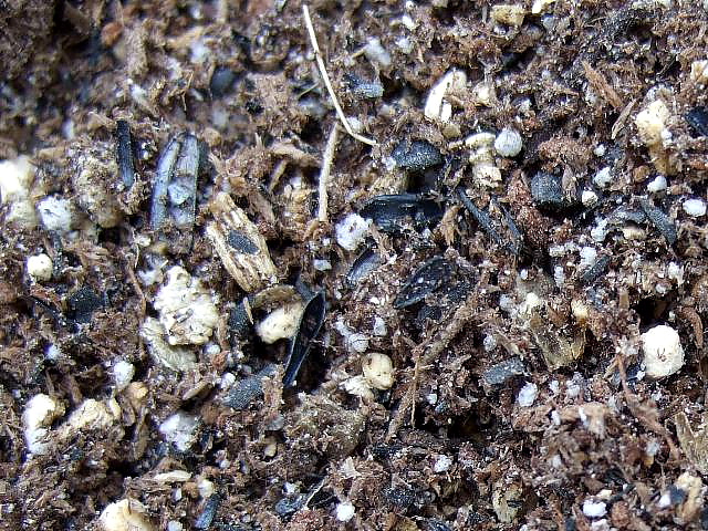 �^�L�C��c�|�y